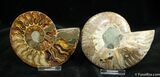 Inch Polished Pair From Madagascar #1442-1